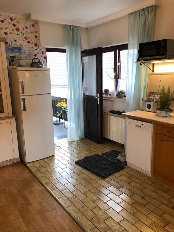Haus Zissi Villa Burg Reuland Exteriör bild