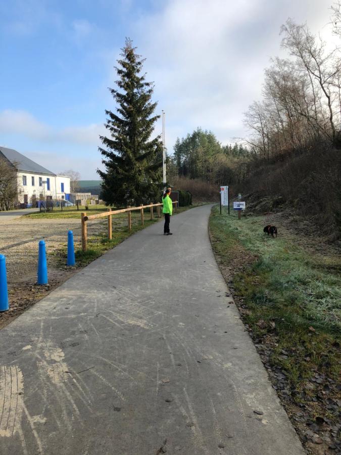Haus Zissi Villa Burg Reuland Exteriör bild