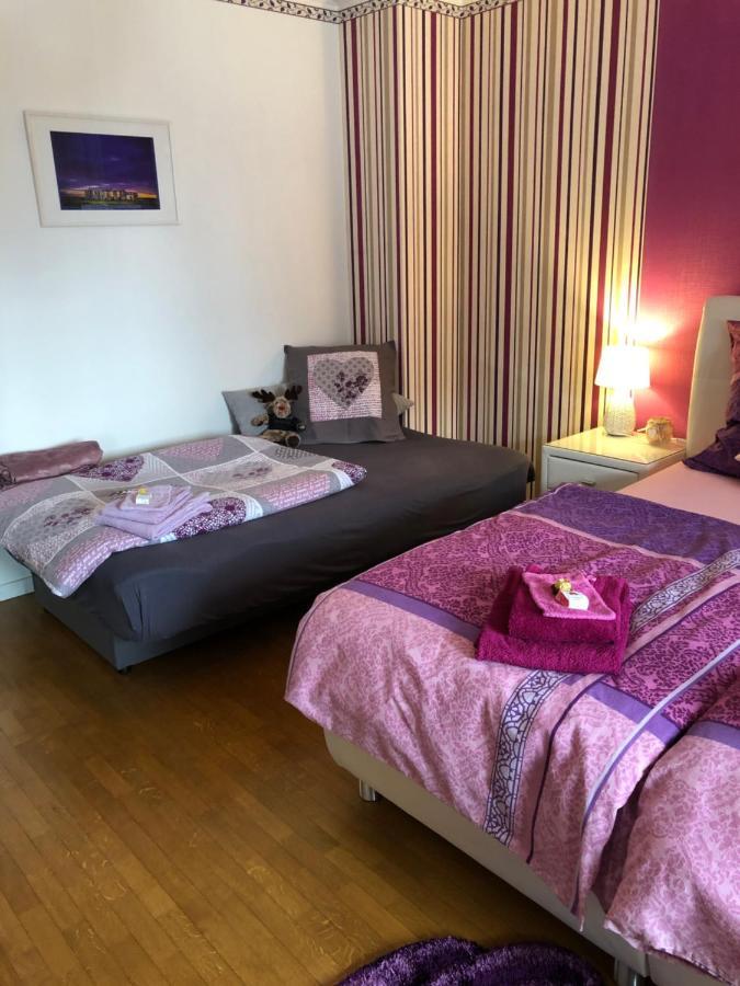 Haus Zissi Villa Burg Reuland Exteriör bild