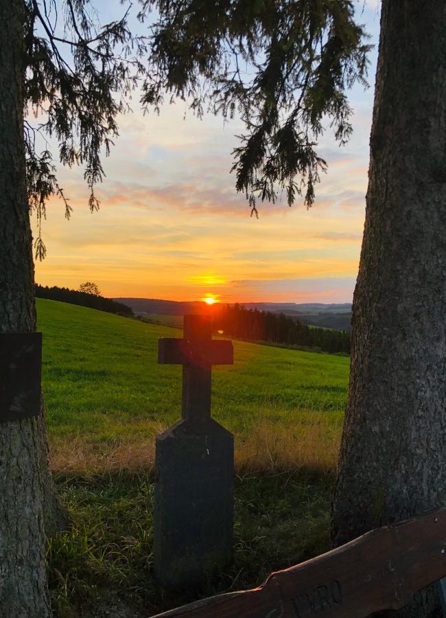 Haus Zissi Villa Burg Reuland Exteriör bild